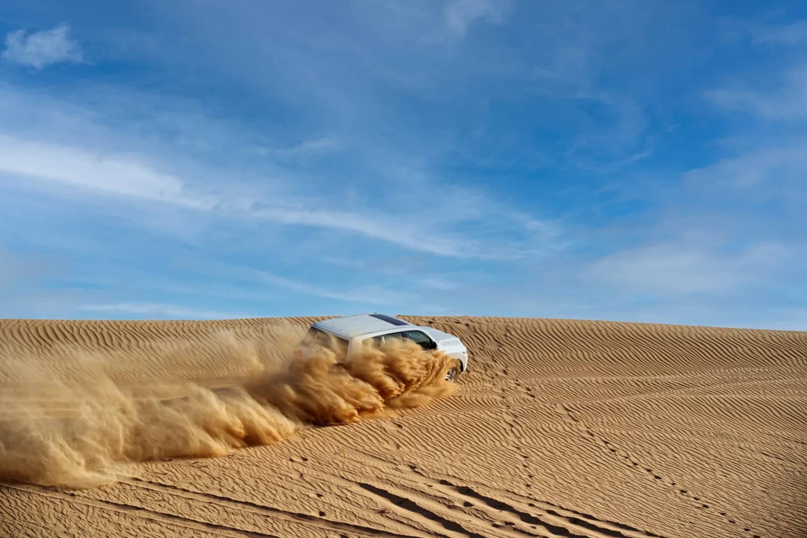 Shared Morning Desert Safari: Experience Dubai, United Arab Emirates