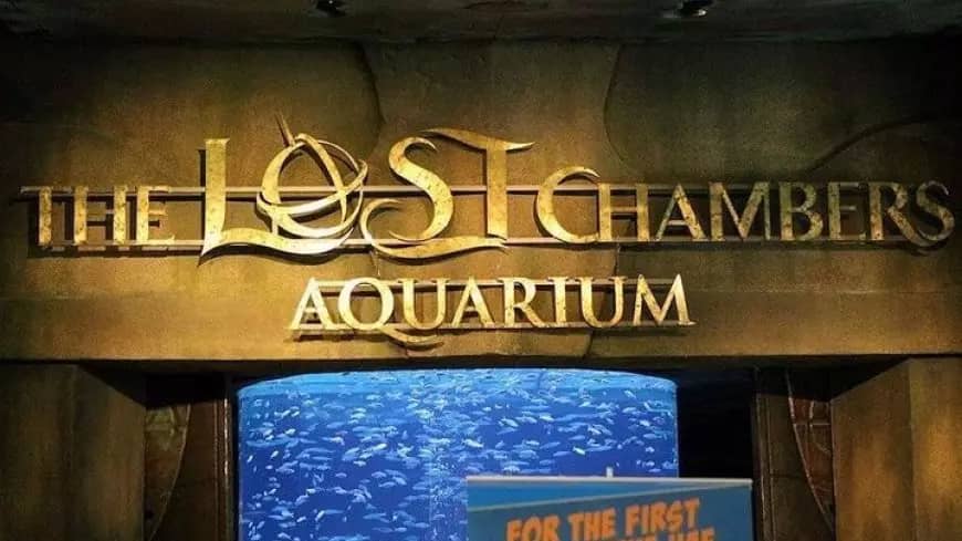 Lost World Aquarium: Experience Dubai, United Arab Emirates
