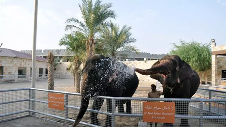 Abu Dhabi Emirates Park Zoo: Experience Dubai, United Arab Emirates