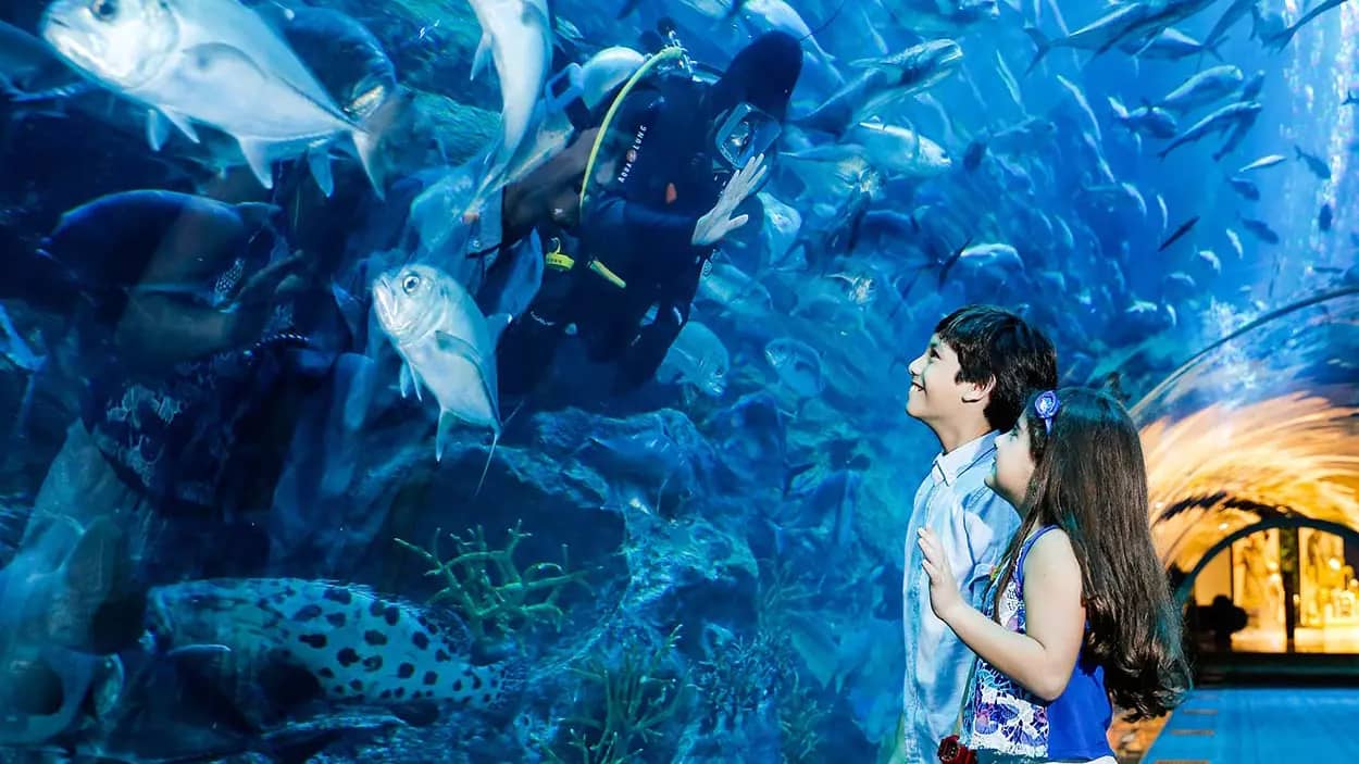 Aquarium and Underwater Zoo at the Dubai Mall: Experience Dubai, United Arab Emirates