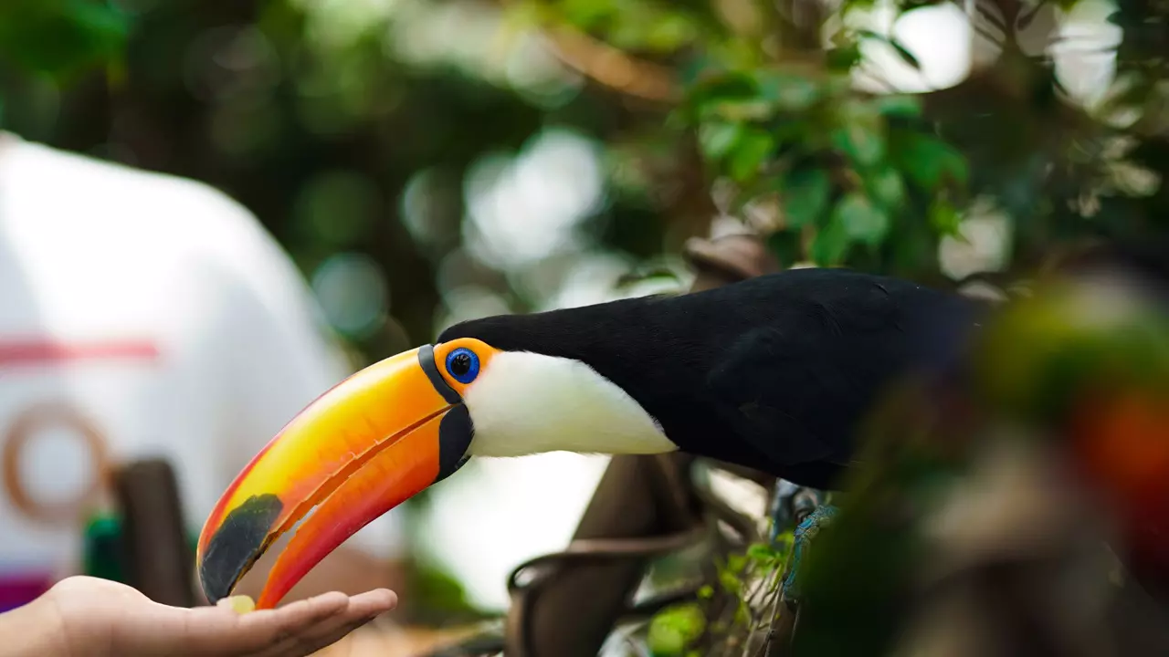 The Green Planet: Experience Dubai, United Arab Emirates