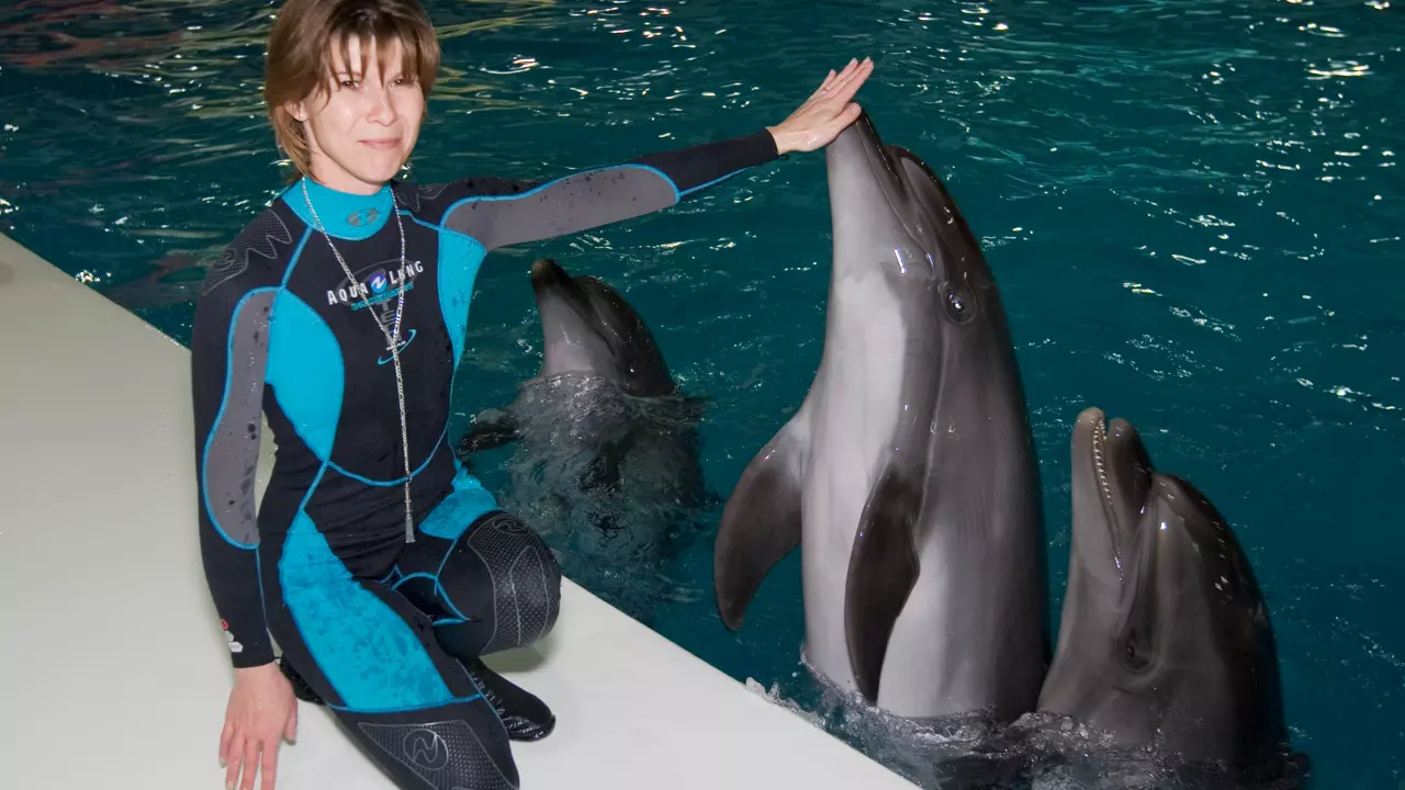 Dubai Dolphinarium: Experience Dubai, United Arab Emirates