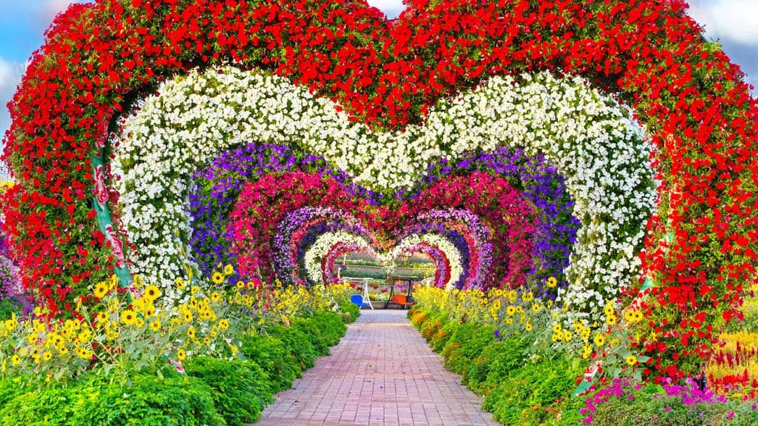 Dubai Miracle Garden: Experience Dubai, United Arab Emirates